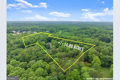 802 Old Mill Trail, Ball Ground, GA 30107 - Photo 75