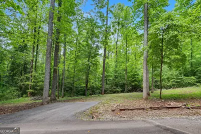 220A Brookwood Lane, Clarkesville, GA 30523 - Photo 45