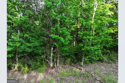 0 Neely Road, Lagrange, GA 30240 - Photo 5