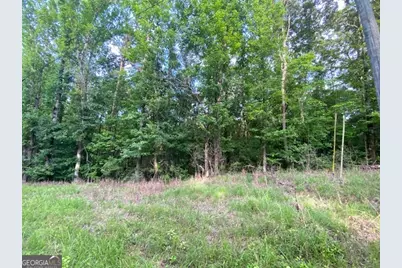 0 Neely Road, Lagrange, GA 30240 - Photo 7
