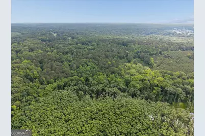 971 Cochran Road, Covington, GA 30014 - Photo 39