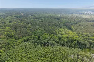 971 Cochran Rd, Covington, GA 30014 - Photo 39