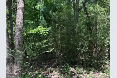 427 Dripping Rock Road, Molena, GA 30258 - Photo 15