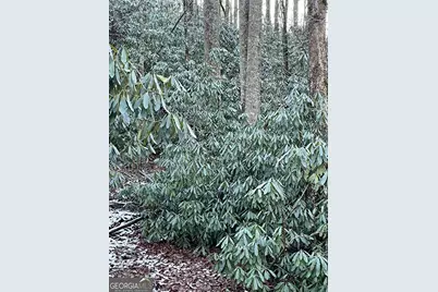 0 Lot 8 Bald Mountain Road #LOT 8, Sky Valley, GA 30537 - Photo 5