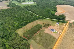 3167 Jason Franklin Rd, Register, GA 30452 - Photo 41