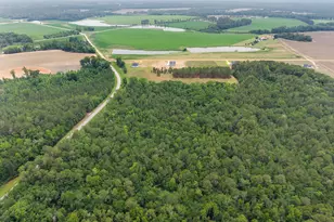 3167 Jason Franklin Rd, Register, GA 30452 - Photo 43