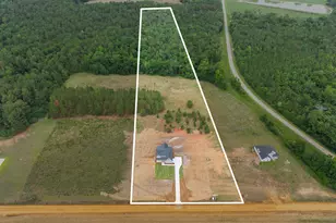 3167 Jason Franklin Rd, Register, GA 30452 - Photo 47