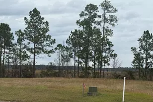 316 Bateau Dr, Saint Marys, GA 31558 - Photo 1