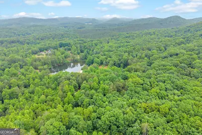314 Skyview Circle, Clarkesville, GA 30523 - Photo 31