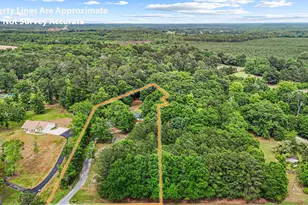 1132 Hwy 341 S, Barnesville, GA 30204 - Photo 45