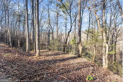 0 River View Lot 12 Trail W, Dahlonega, GA 30533 - Photo 17