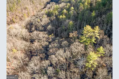 0 River View Lot 12 Trail W, Dahlonega, GA 30533 - Photo 37