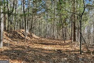 5010 US Hwy 27, Franklin, GA 30217 - Photo 31