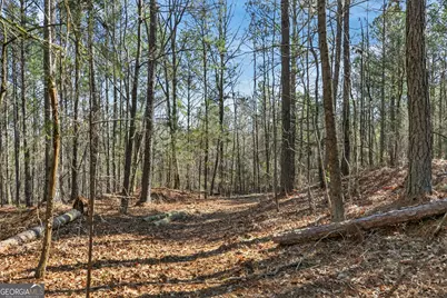 5010 US Highway 27, Franklin, GA 30217 - Photo 27