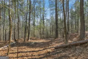 5010 US Hwy 27, Franklin, GA 30217 - Photo 27