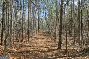 5010 US Hwy 27, Franklin, GA 30217 - Photo 29