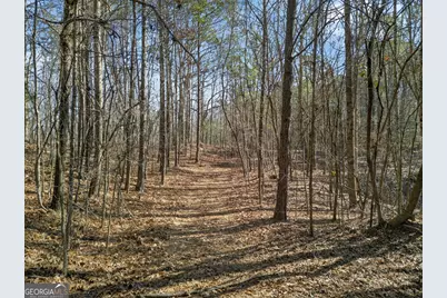 5010 US Highway 27, Franklin, GA 30217 - Photo 35