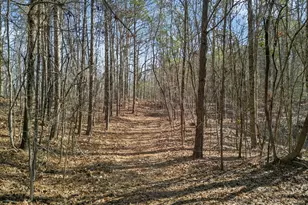 5010 US Hwy 27, Franklin, GA 30217 - Photo 35