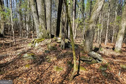 5010 US Highway 27, Franklin, GA 30217 - Photo 33