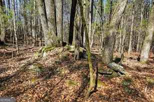 5010 US Hwy 27, Franklin, GA 30217 - Photo 33