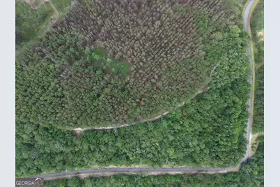 Lot 56 Waverly Lane, White Oak, GA 31568 - Photo 5
