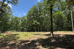 4492 US-78, Tallapoosa, GA 30176 - Photo 1