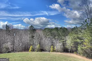 229 Crossroads Church Rd, Ellijay, GA 30540 - Photo 51