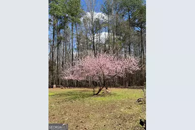 6233 Ga Highway 87, Macon, GA 31210 - Photo 41
