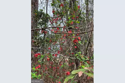 6233 Ga Highway 87, Forsyth, GA 31029 - Photo 41