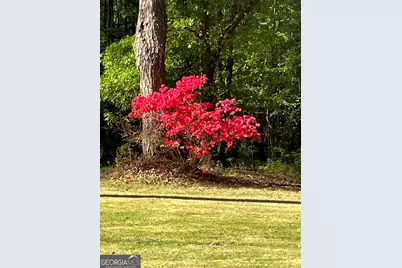6233 Ga Highway 87, Forsyth, GA 31029 - Photo 43