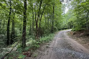 00 Mr Bert Rd, Hiawassee, GA 30548 - Photo 1