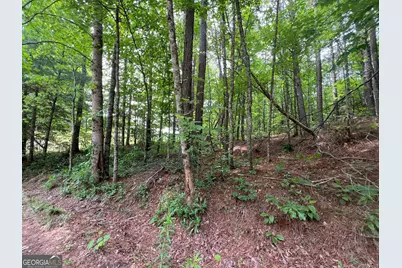 00 Mr Bert Road, Hiawassee, GA 30548 - Photo 21