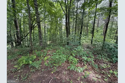 00 Mr Bert Road, Hiawassee, GA 30548 - Photo 7