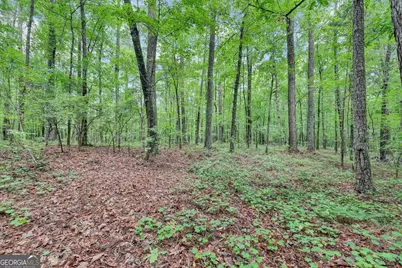 0 SE Christian Circle, Conyers, GA 30013 - Photo 23