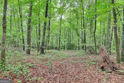 0 SE Christian Circle Circle, Conyers, GA 30013 - Photo 21