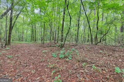 0 SE Christian Circle Circle, Conyers, GA 30013 - Photo 19