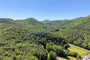 4836 Owltown Rd, Blairsville, GA 30512 - Photo 89