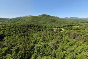 4836 Owltown Rd, Blairsville, GA 30512 - Photo 95