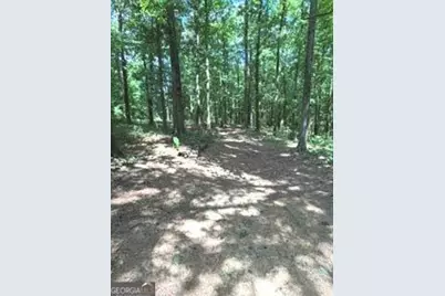 943 Boss Hardy Road, Winder, GA 30680 - Photo 7