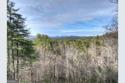 71 Rising Fawn Drive, Mineral Bluff, GA 30559 - Photo 67