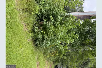 0 Maple Trail, Sharpsburg, GA 30277 - Photo 11