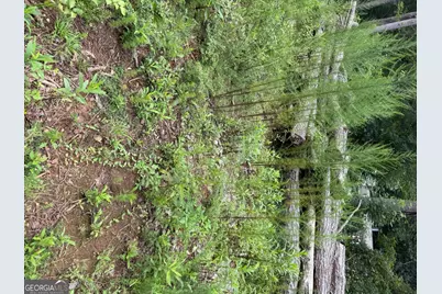 0 Maple Trail, Sharpsburg, GA 30277 - Photo 5