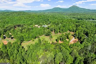 2239 Dean Mountain Rd, Cleveland, GA 30528 - Photo 5