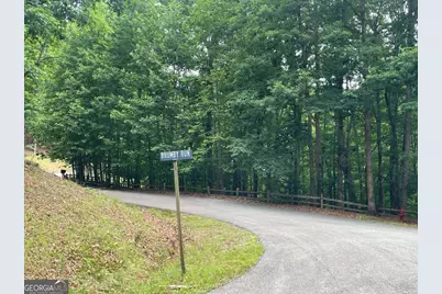 Lot 11 Brumby Run #11, Blairsville, GA 30512 - Photo 9