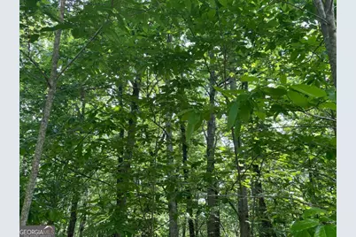 Lot 11 Brumby Run #11, Blairsville, GA 30512 - Photo 5