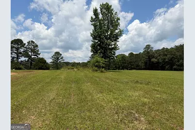 8152 Cr 222, Five Points, AL 36855 - Photo 5