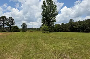 8152 Cr 222, Five Points, AL 36855 - Photo 5