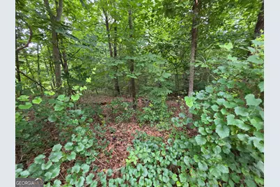 Lot 15 Harbor Heights Circle, Lavonia, GA 30553 - Photo 3