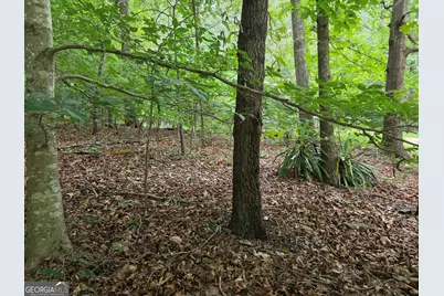 Lot 270 Arrow Lane, Lavonia, GA 30553 - Photo 7