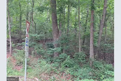 Lot 109 Arrowhead Drive, Lavonia, GA 30553 - Photo 3